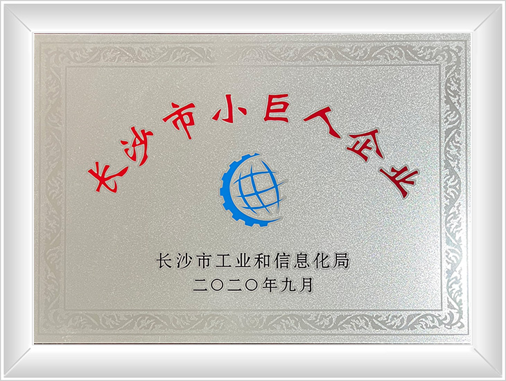 Little Giant Enterprise Certificate